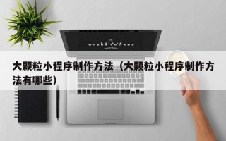 吐鲁番大颗粒小程序制作方法（大颗粒小程序制作方法有哪些）