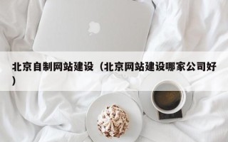 吐鲁番北京自制网站建设（北京网站建设哪家公司好）